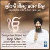 About Suniye Isar Barma Ind - Japji Sahib Larivar Katha Part 10 Song